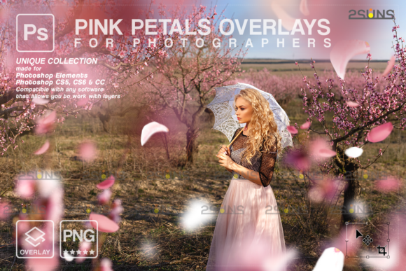 Download Falling Pink Petals&nbsp; - Petals Collection